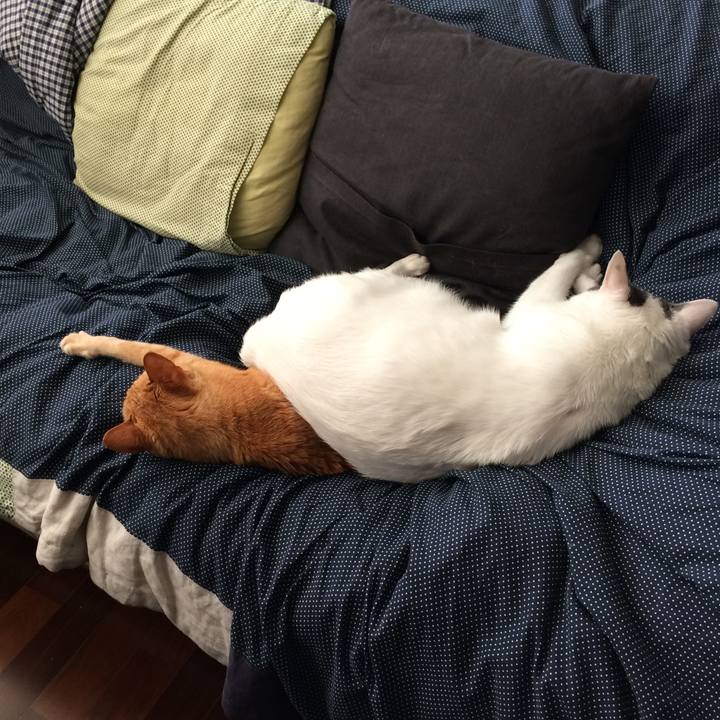 17361a87 6ccb 4395 8524 1ca7ce87863e 1526415163834