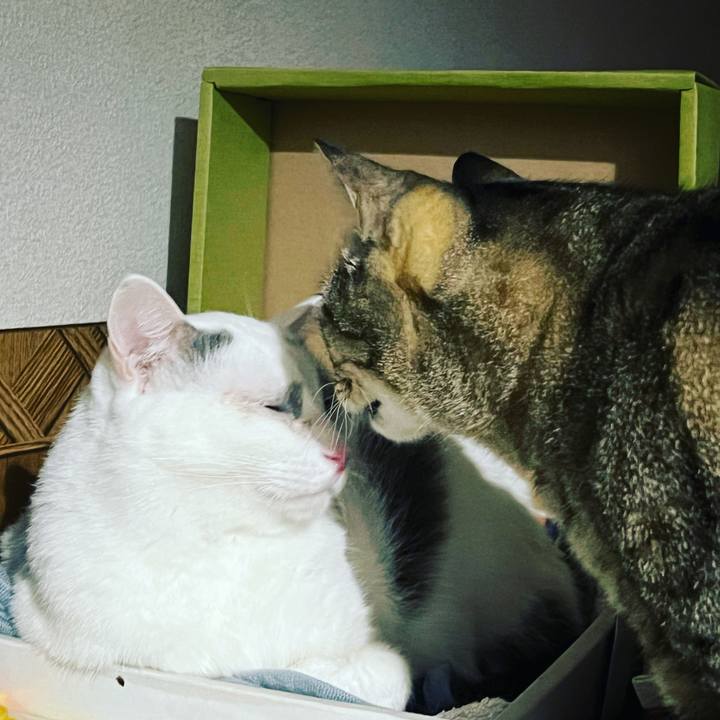 173625c2 3147 463a b37a 5eda93d44e2f 1638158929042