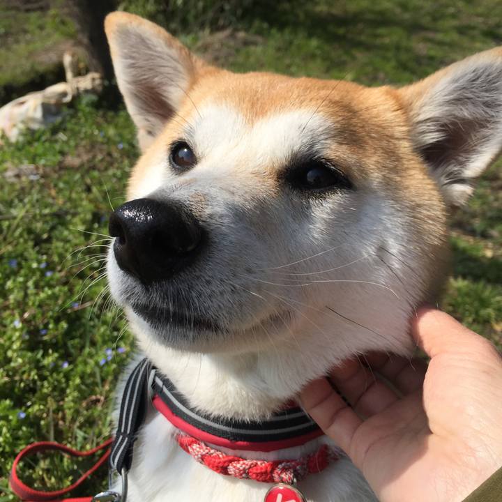 17364a60 362b 45e8 8714 99c37dac5399 1521254583034