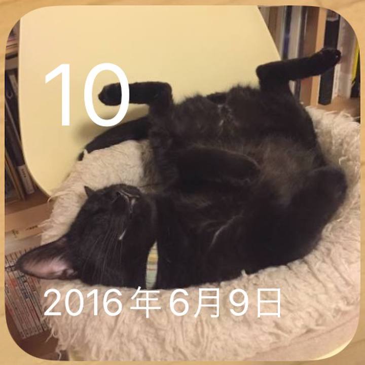 173657d8 d899 4bae b339 22d8d1e5257e 1686374394766