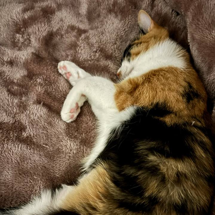 173680ca 2327 40c8 a962 0513d3e23540 1768983219301