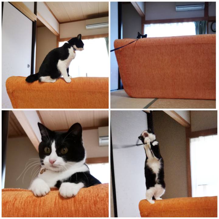 17369562 6936 471a b3b1 92784cdea560 1572681216211