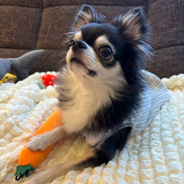 17369ff8 6e1c 4a2a 9da1 091a242d00d5 1723911437056