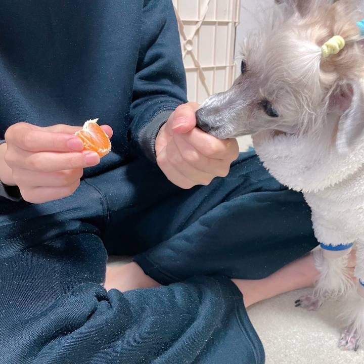 1736a5c2 1670 4db2 b087 209c0d8a0ca0 1764487810795