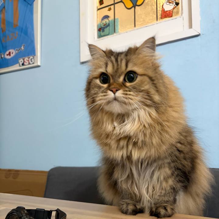 1736bea6 d79a 477b bbf4 dcd1d78ea222 1766495530402