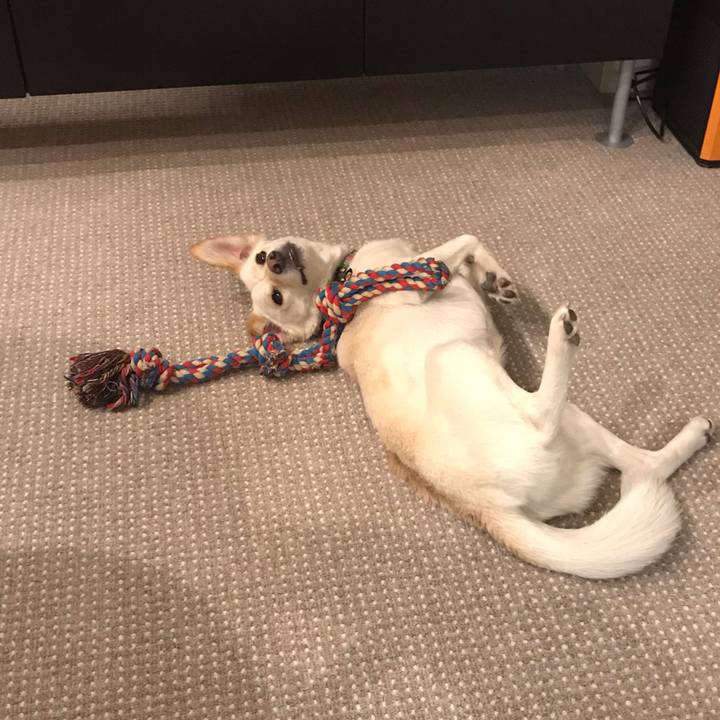 1736bff0 5e69 4071 beba ae51ae647695 1559391709242