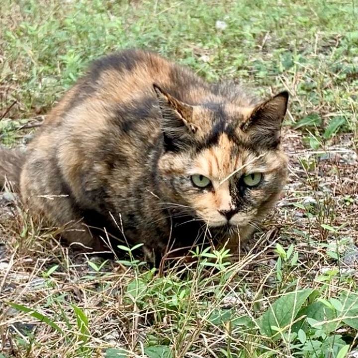 1736cd73 df57 4aef bb5d 2deb96cda425 1731211131422