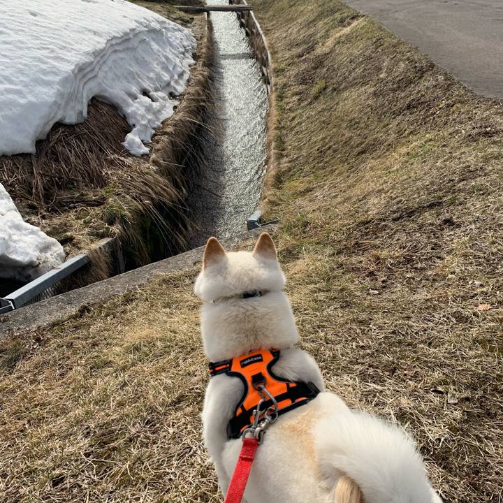 1736eec4 cbec 4bf6 b9a2 26f35e3da00b 1616566840714