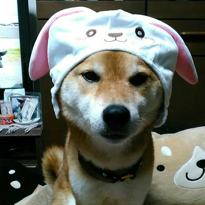 1736fa20 f3ec 4725 94e1 88e7723265da 1557575689583