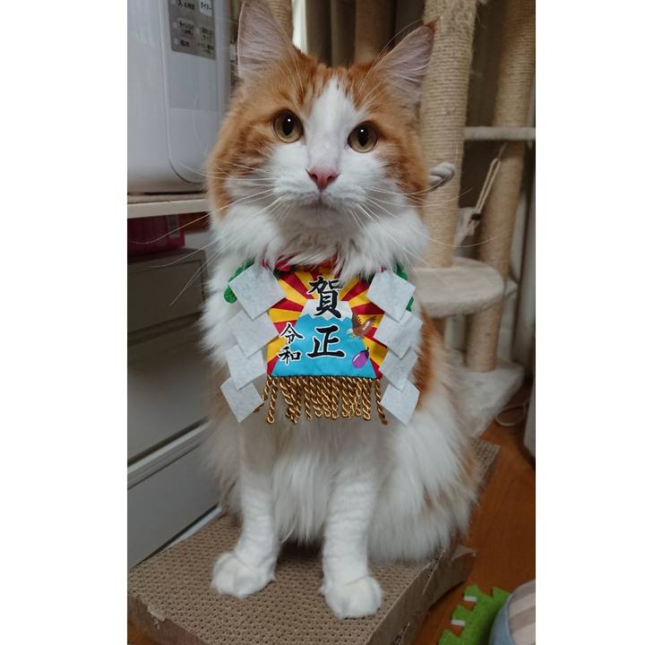 1737068b 18f6 4113 af35 96ee20c26e26 1577837719806