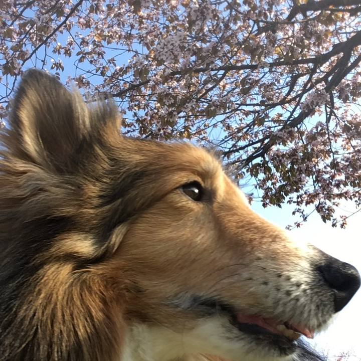 17371201 a40a 4583 a71d d0bb903fef71 1746525407532