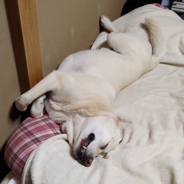 1737370a d7f9 4825 86d7 a4bb5afb9568 1708441995418