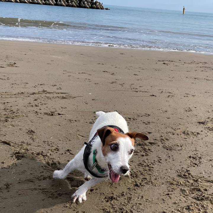 17373fed f7cd 4fa7 83b2 c5774f7c7533 1764469844448