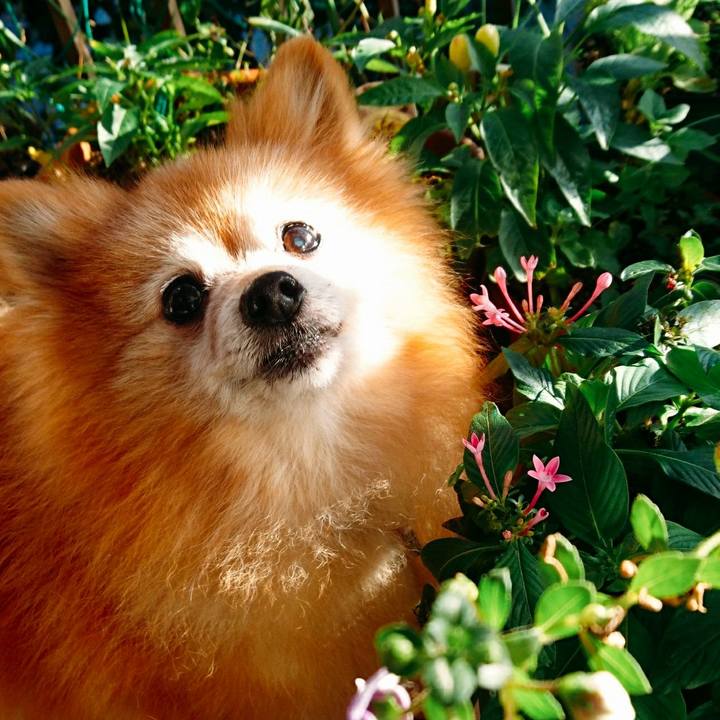 17377e0d eef3 4cce bead 1395d6bb5f1d 1574726191529