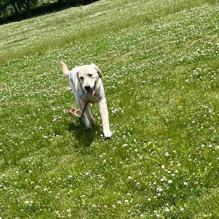 1737bbbf 1324 4f49 a1c0 8f4669e8a904 1621211253565