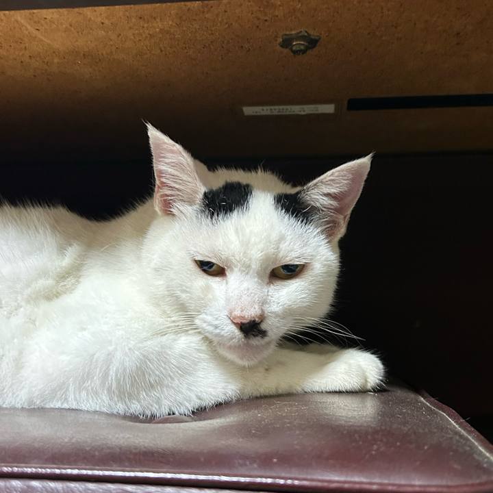 1737f560 7389 4518 8197 1b8b515380be 1757376459627