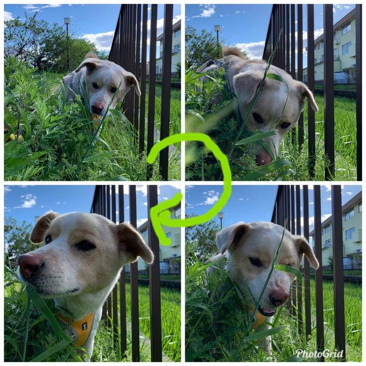 17380d74 9d1f 4662 b707 c58682256bf7 1556325666869