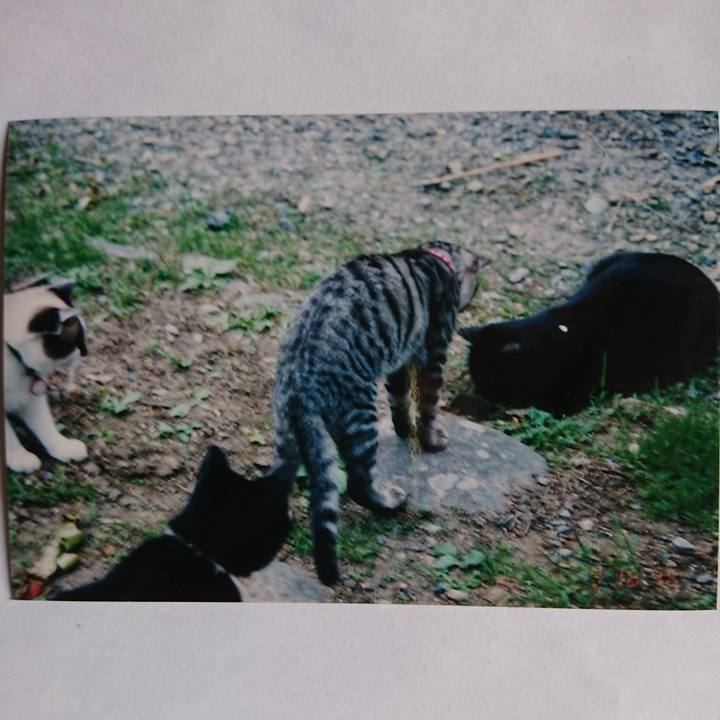 17384140 5cc9 4612 a89d e7c7a57195ba 1600459839088