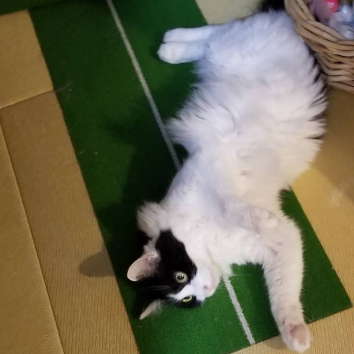 17387665 dd03 427a 986e 57bf02de0933 1592457767037