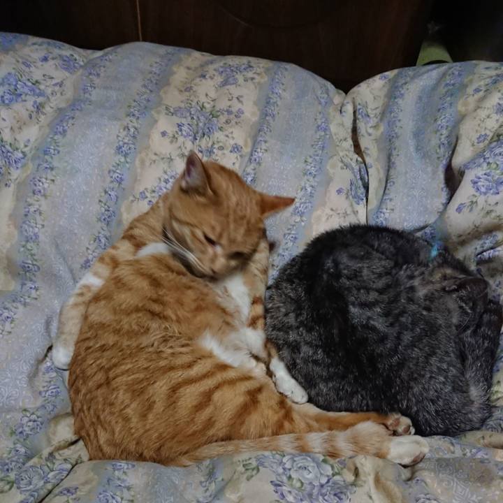 1738784b 1118 4505 8be3 0e94f65166d1 1573215749001