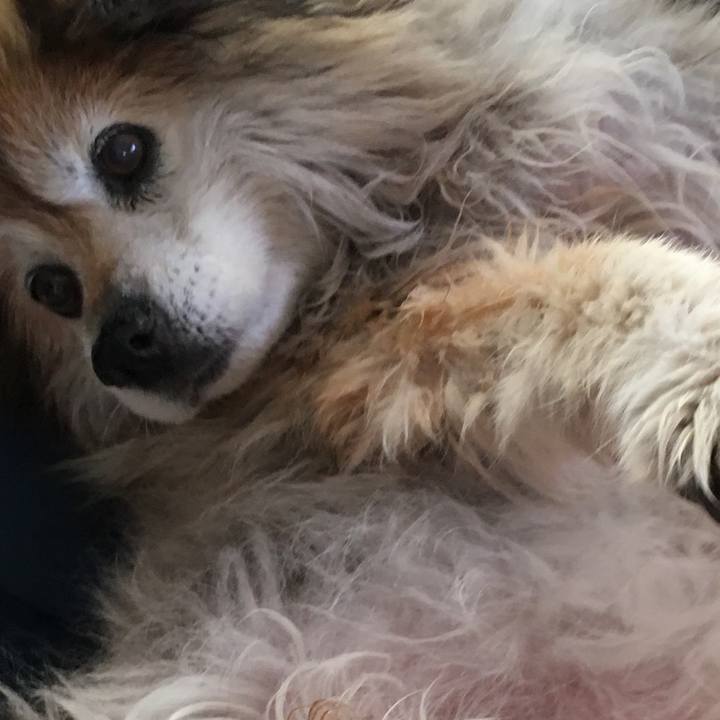 17388479 0560 4eab a779 36959d4e4d6e 1612669958728