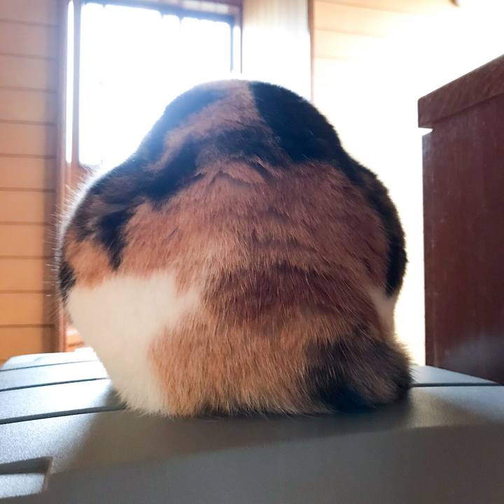 1738f469 f505 4d84 a550 7f8813aefc7d 1525098809778