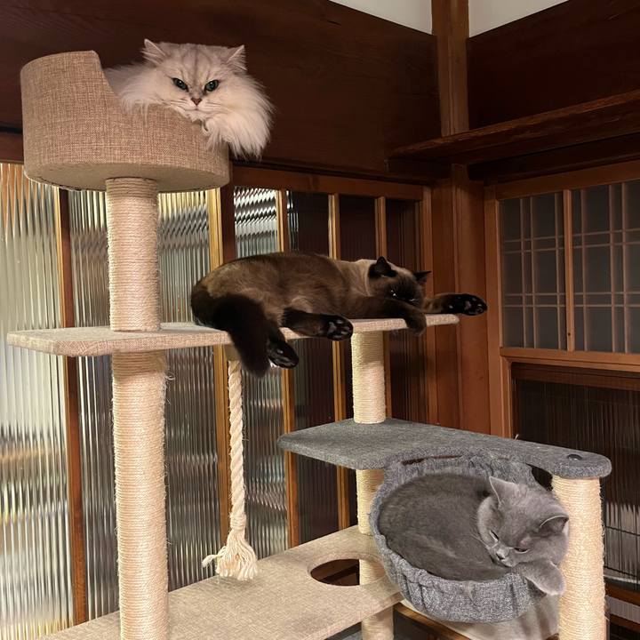 17394ae2 7c5f 4fb3 aaa0 302a42480e72 1645496233535