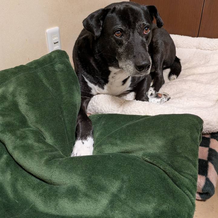 17396c22 e804 4aa9 af64 cdb382957d35 1762168101205