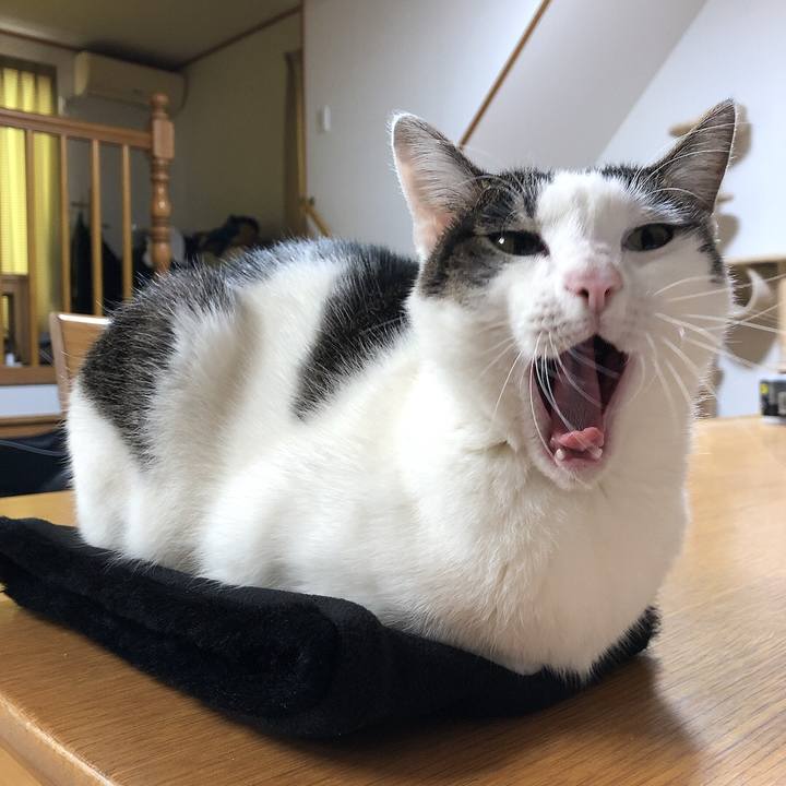 17397467 20f4 4e31 b030 a6e44339a5ea 1639353129482