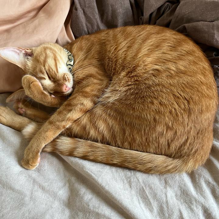 173974bc c7e0 45dc ba8f 5b8c5a8ae830 1656049602076