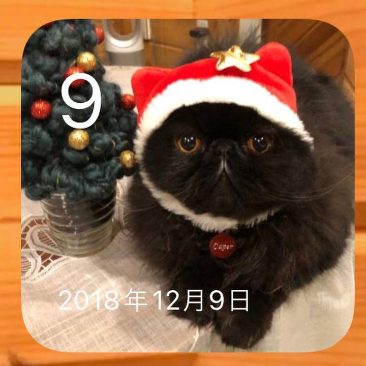 173997ba 9dc4 4bf7 8d72 d77ea9358c7e 1639121847696