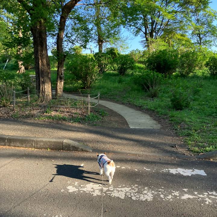 1739f172 189a 4b8b ae7b 0c401a8c84c9 1681255263347