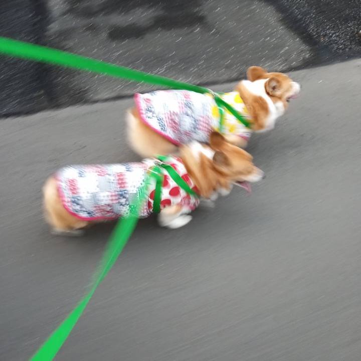 173a2473 a099 45a7 9dcd d2ff16135c34 1580028491501