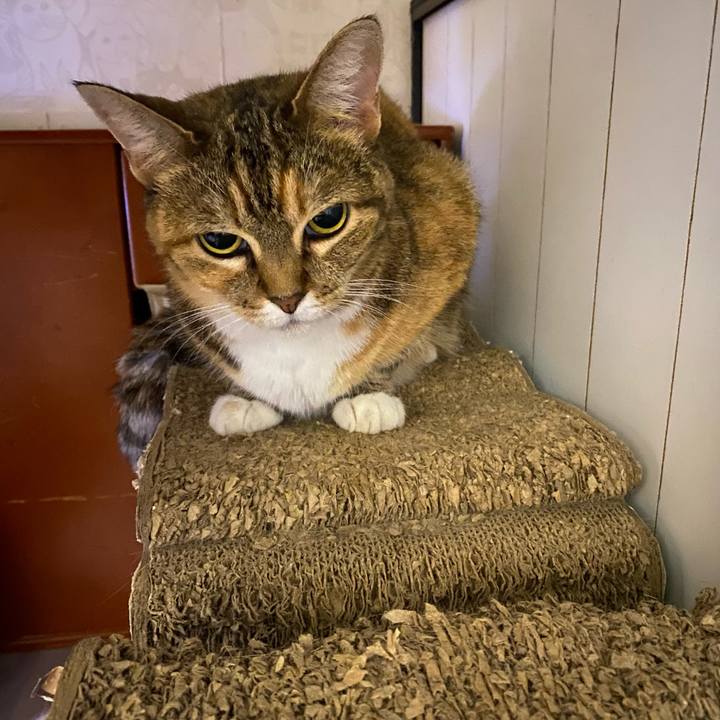 173a5792 d2c1 43c8 babc 00837a6d908d 1658677844560