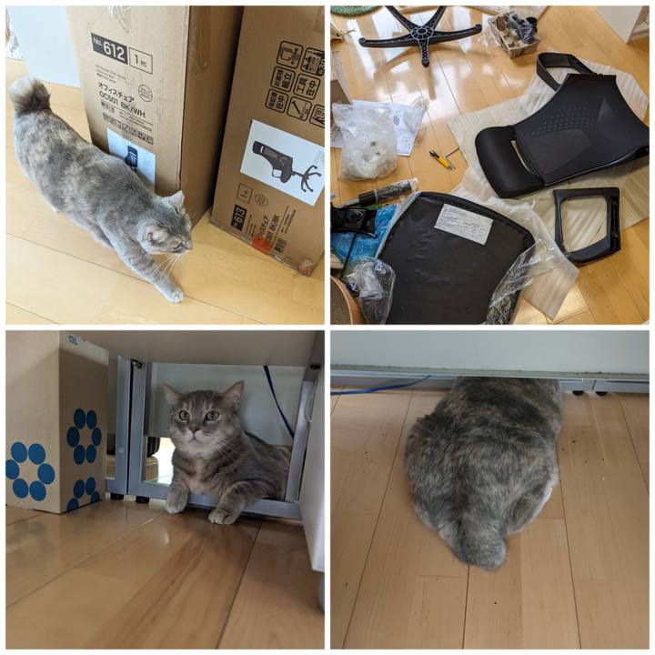 173adc7b f7ef 4cf2 b425 80f94e8faab6 1695099530818