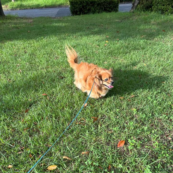 173aec31 f3fc 4ef4 991a 0b2256bbbfbb 1695509341702