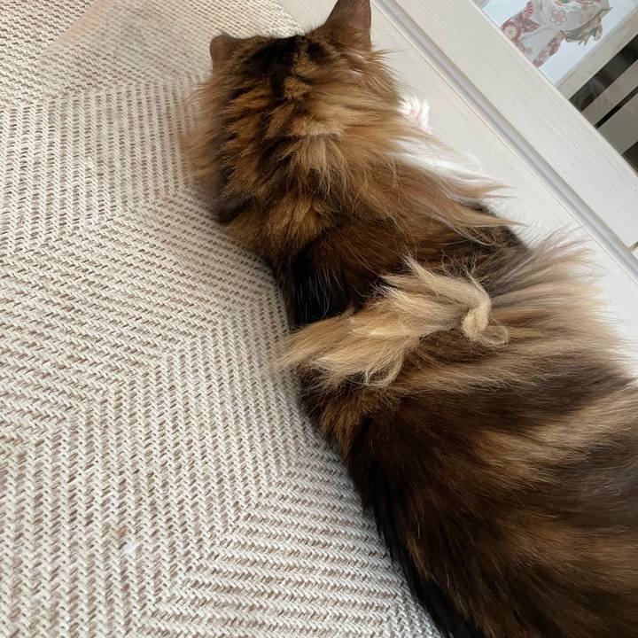 173b0da6 6924 4c18 a9e8 336910944cab 1681679947404