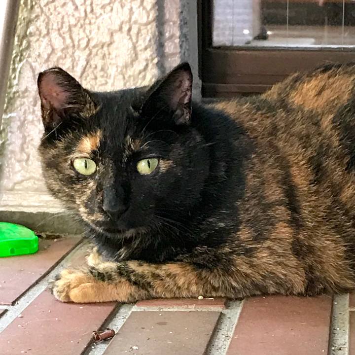 173b194b 9265 4584 97ec eafb209bc68d 1535349361323