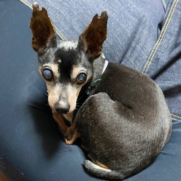 173b6219 d6eb 4a9e ac86 c0efeb6f896c 1585743932929