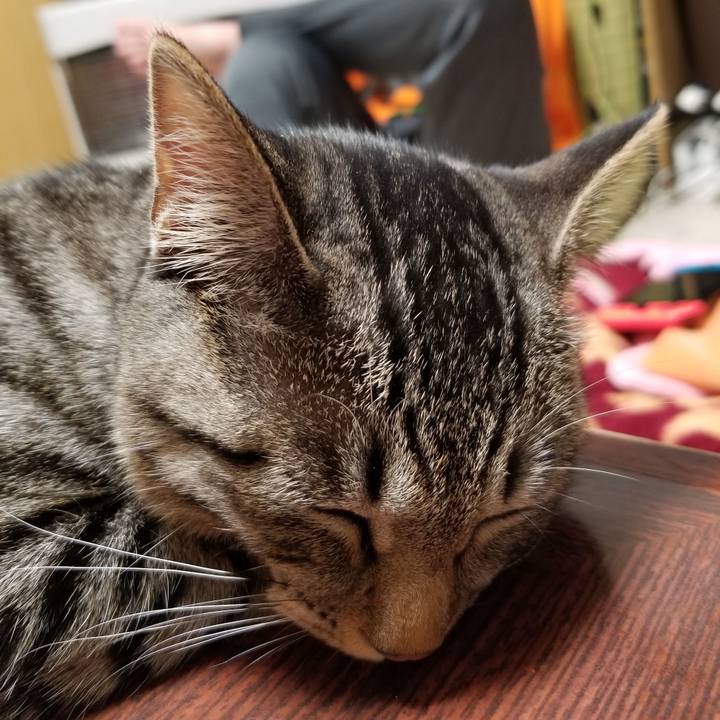 173b7dde 0894 45ff be61 05bafc0e4351 1671547807291