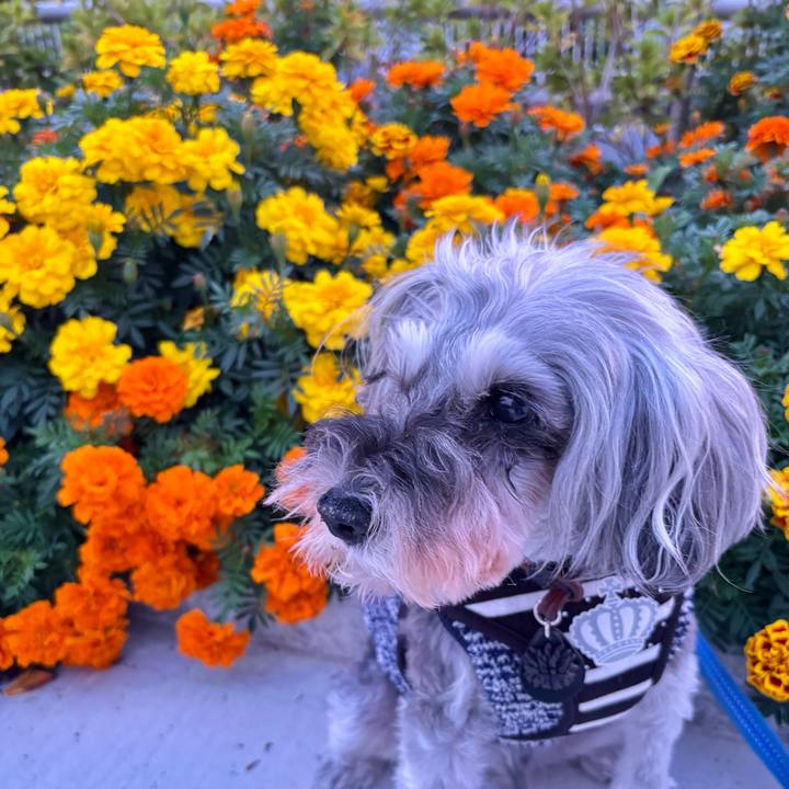 173ba42d 3e5b 4d94 8af2 d36979741ade 1761786458500