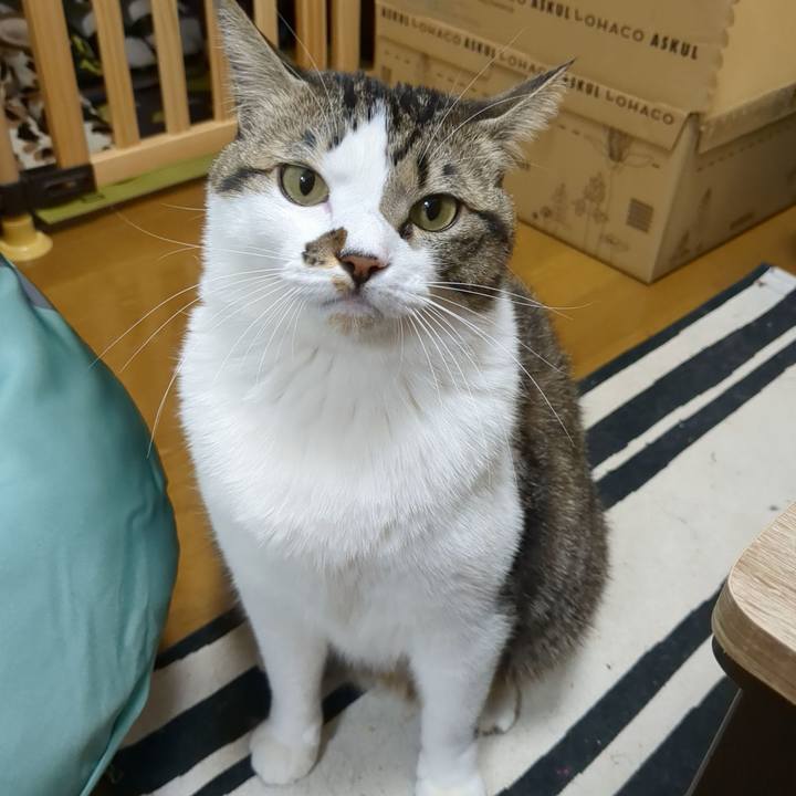 173bd20e 377e 477c 8a14 ea9f82d736db 1671326424300