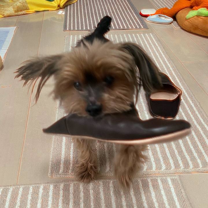 173bd5b8 f6b9 4edc a212 f3b9de5c32ae 1706421196018