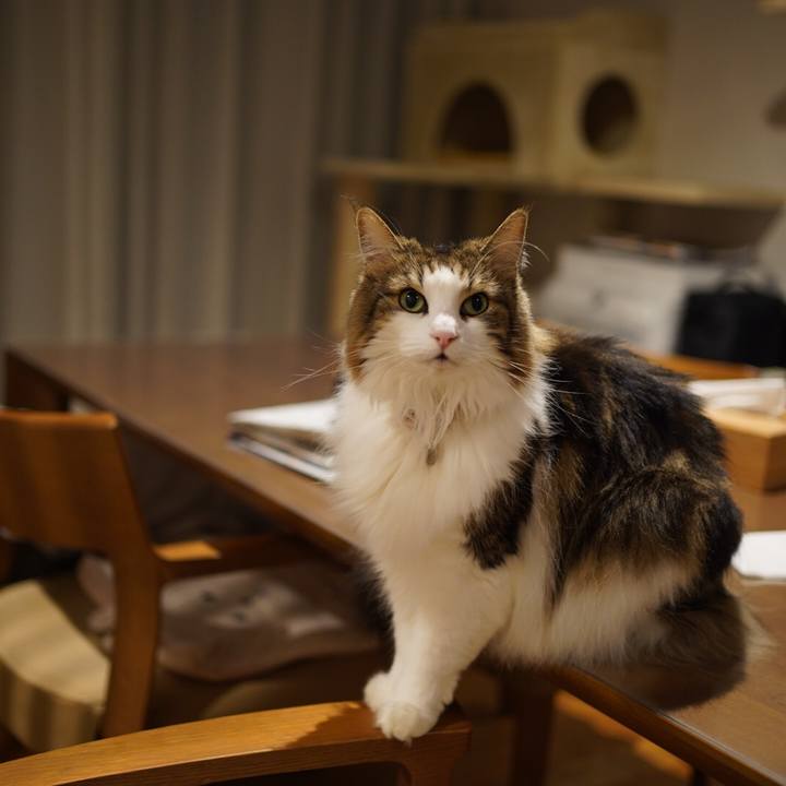 173bdadf 4ac8 4092 bc52 814f5b46dbbc 1608635242390