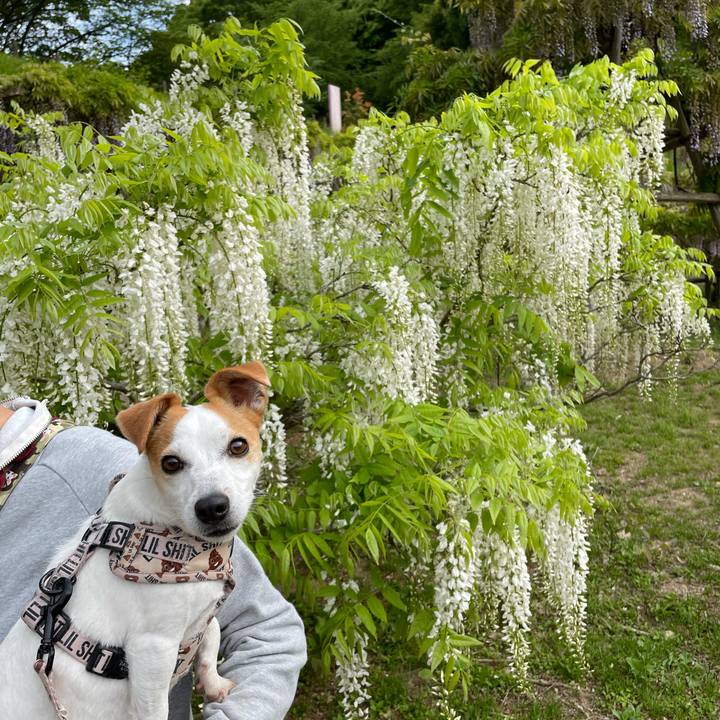 173be99b c43d 4889 8420 f4a42247e10d 1619584804332