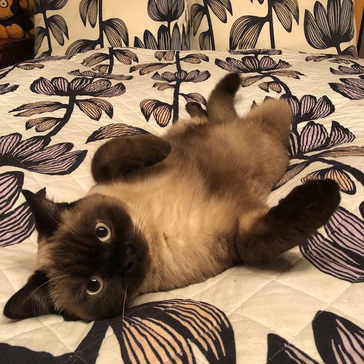 173c083e 8f06 466d bf37 80a6a86079c0 1608208850686