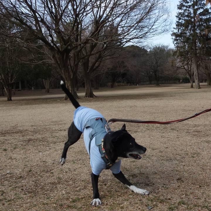 173c0cbb e2eb 48ff 88ec 398e36757fce 1740702239993