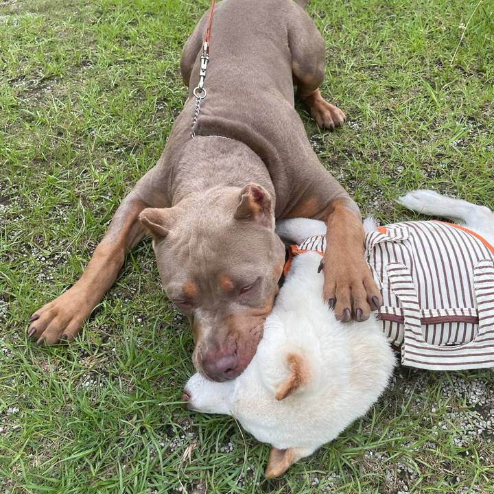 173c2476 b7ca 49ac aca8 e19c8495d18b 1657206355500