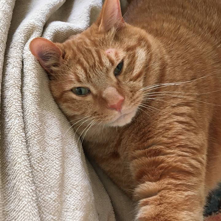 173c3148 0d1e 4cda a004 4ab22ad51122 1587077250337