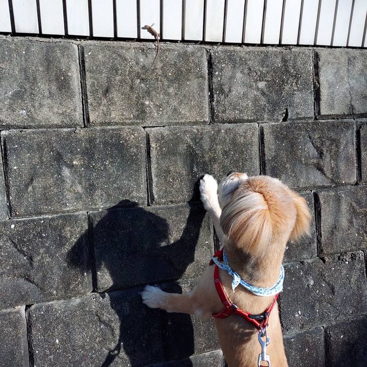 173c31fd dd89 4674 bb2f e7570b051808 1626748610860